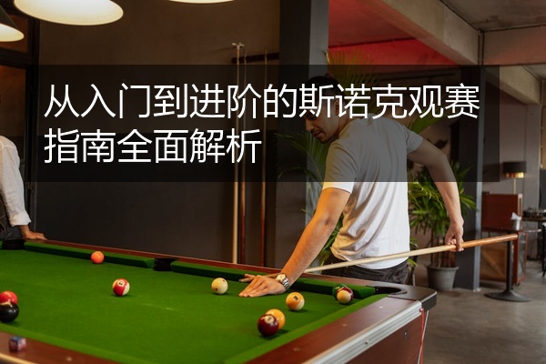 从入门到进阶的斯诺克观赛指南全面解析